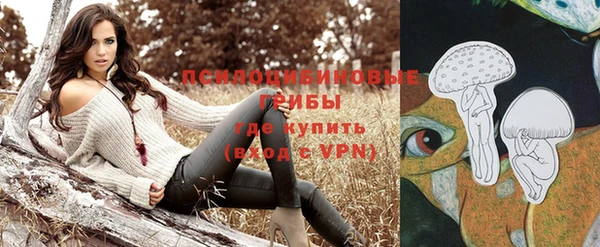прущие крисы Алексеевка
