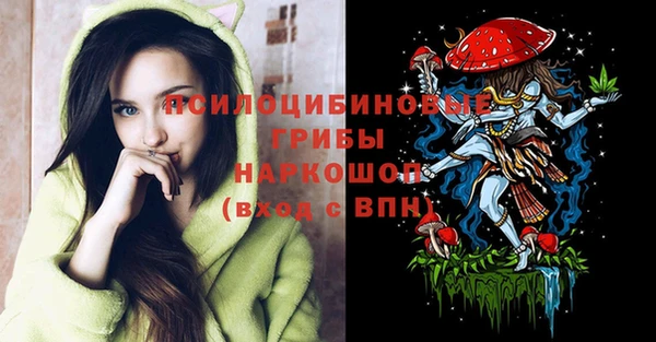 PSILOCYBIN Карпинск