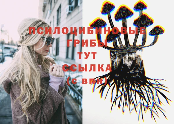 прущие крисы Алексеевка